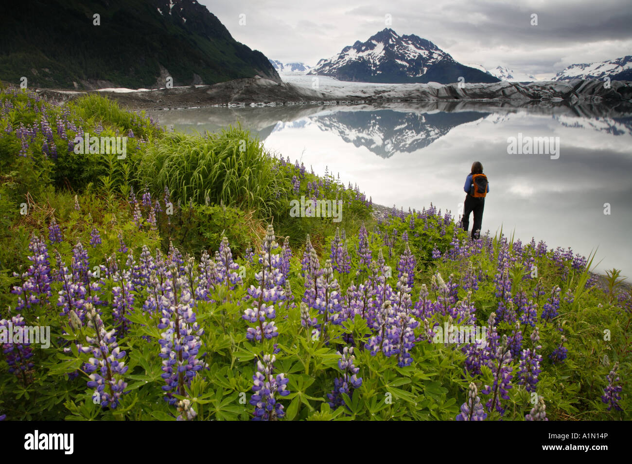 Randonnées à Sheridan Cordova Glacier Alaska la Forêt Nationale de Chugach Banque D'Images