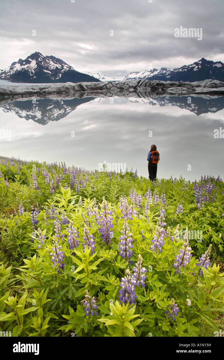 Randonnées à Sheridan Cordova Glacier Alaska la Forêt Nationale de Chugach Banque D'Images