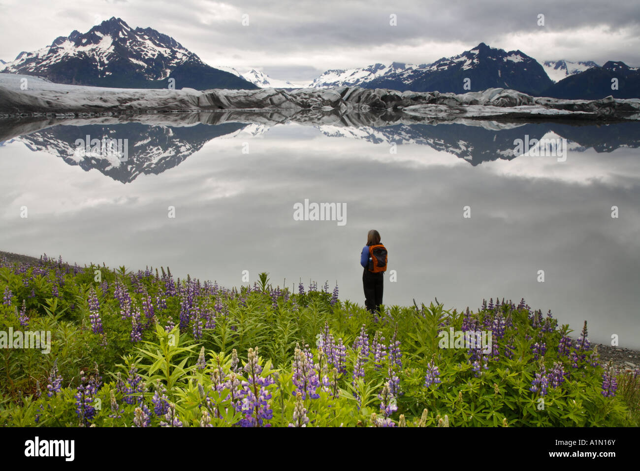 Randonnées à Sheridan Cordova Glacier Alaska la Forêt Nationale de Chugach Banque D'Images
