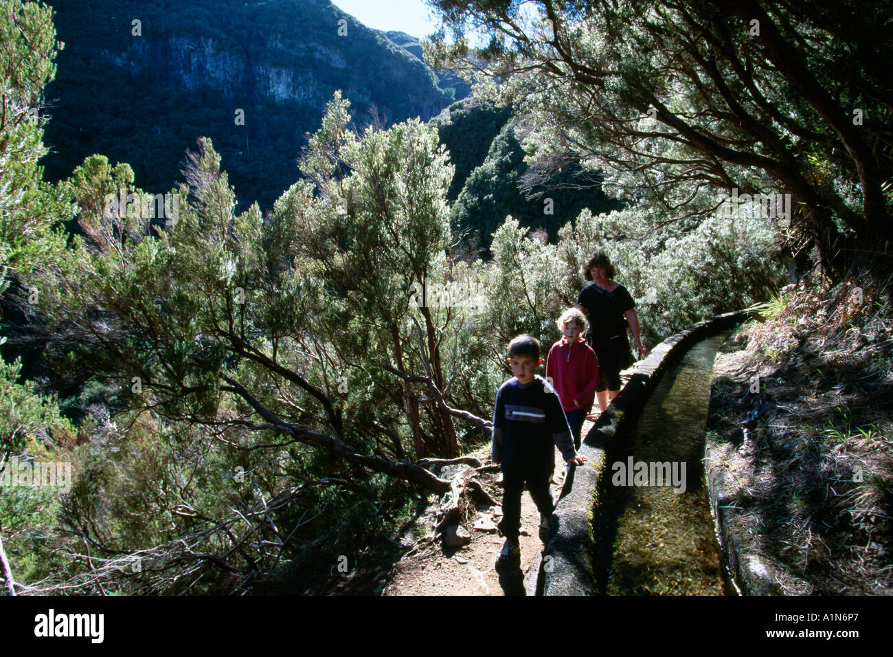 Randonnées Levada de Rabacal Madère Portugal Banque D'Images