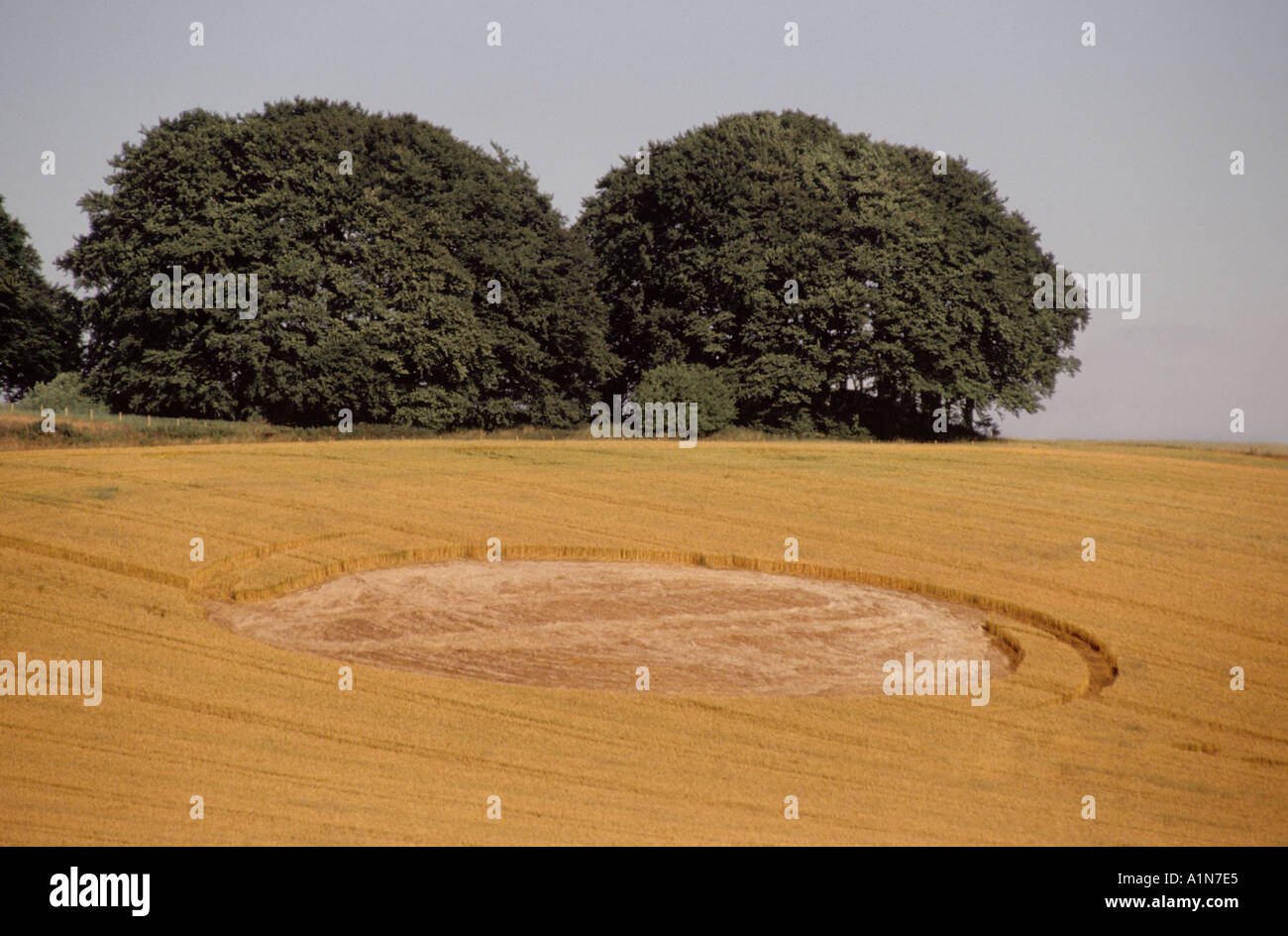 West Overton Angleterre Wiltshire Crop Circle extraterrestre inconnu phénomènes penomenen Banque D'Images