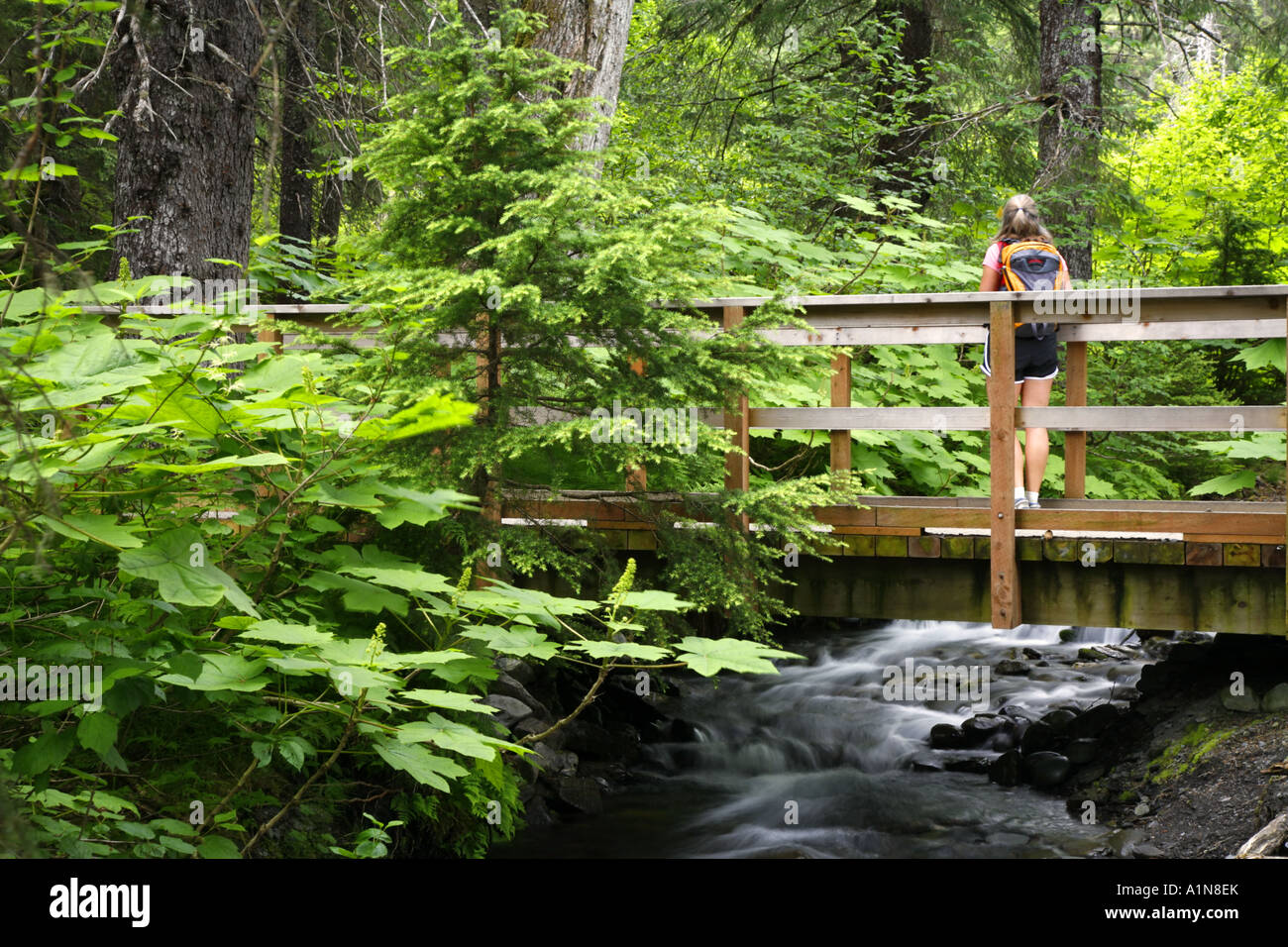 Randonneur sur le sentier de la Gorge de gagnant Girdwood Alaska Chugach National Forest M. Banque D'Images