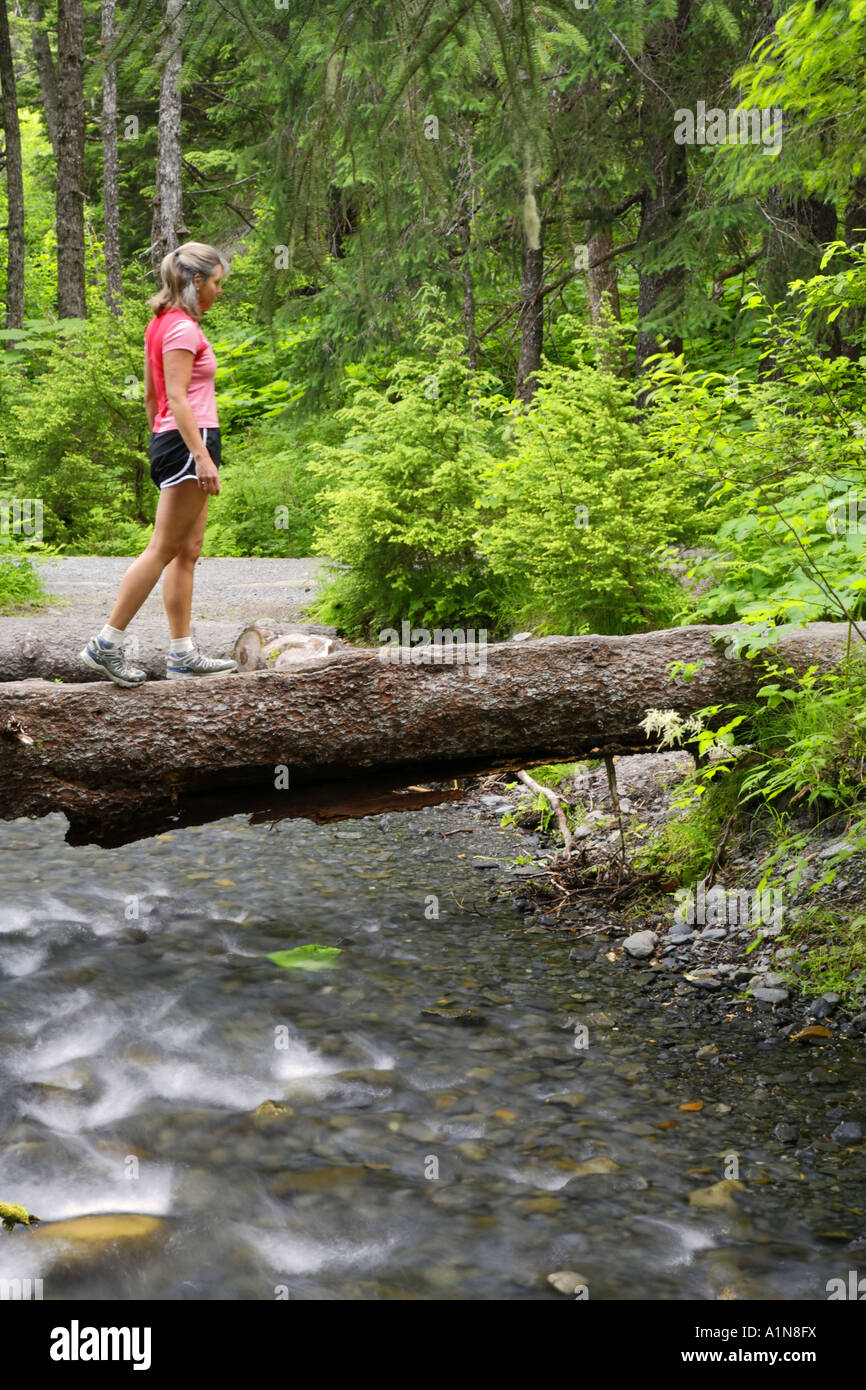 Randonneur sur le sentier de la Gorge de gagnant Girdwood Alaska Chugach National Forest M. Banque D'Images