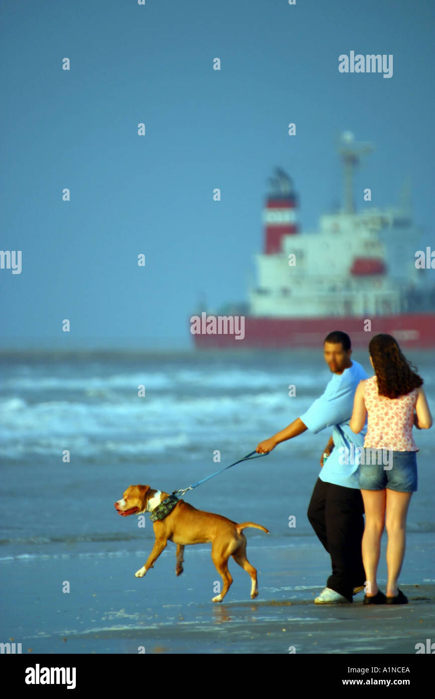 Chien en laisse Ocean tankers chimiques Photo Photos Photographies Animaux Nature Transportation Banque D'Images