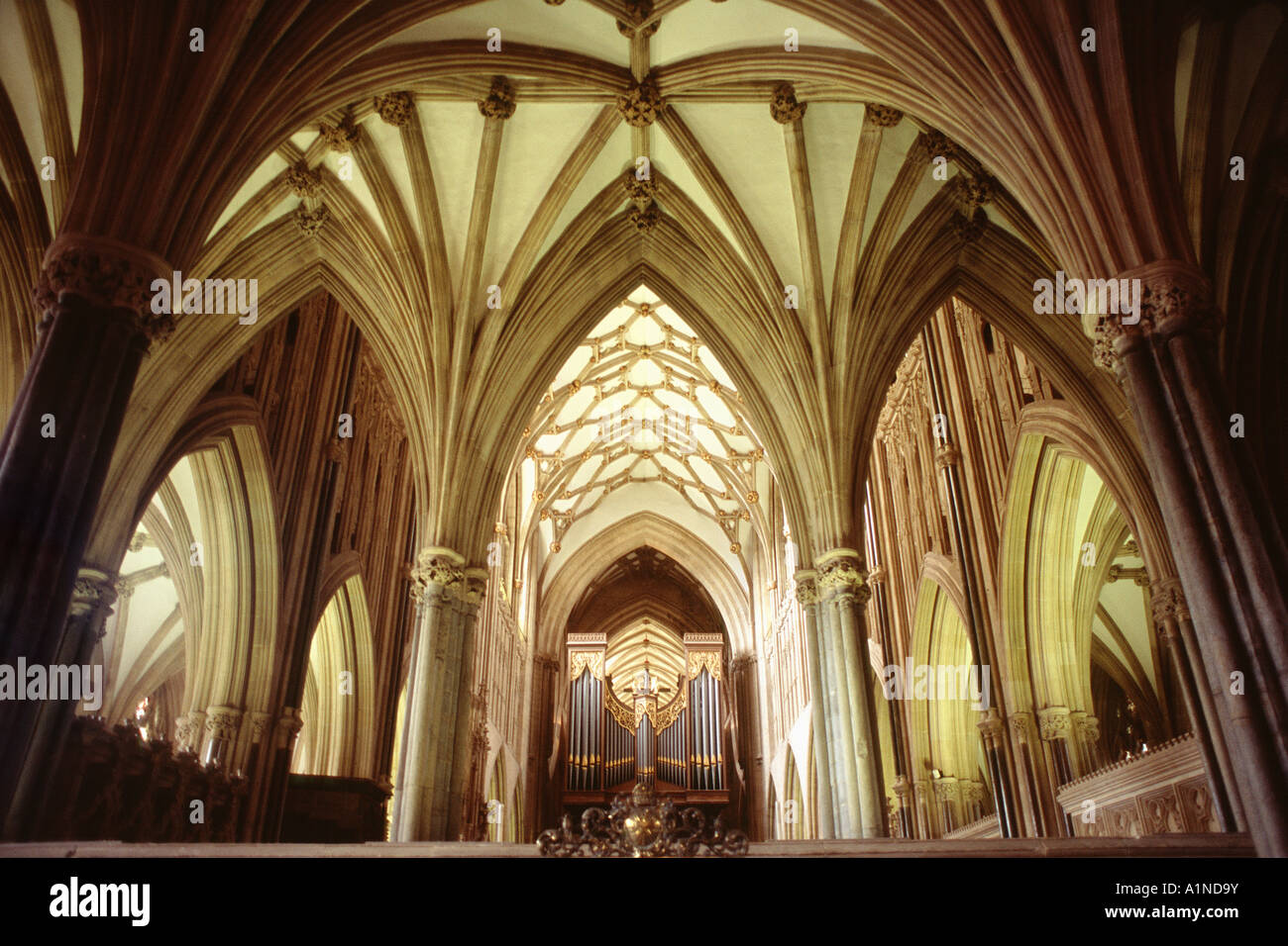 La cathédrale de Wells, Somerset, Angleterre Banque D'Images