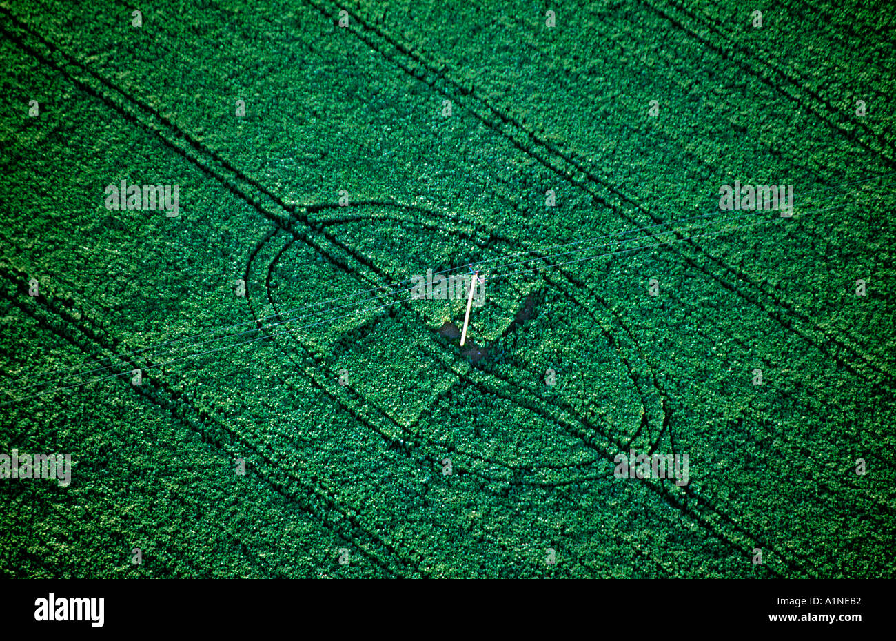 Vue aérienne des terres agricoles Banque D'Images