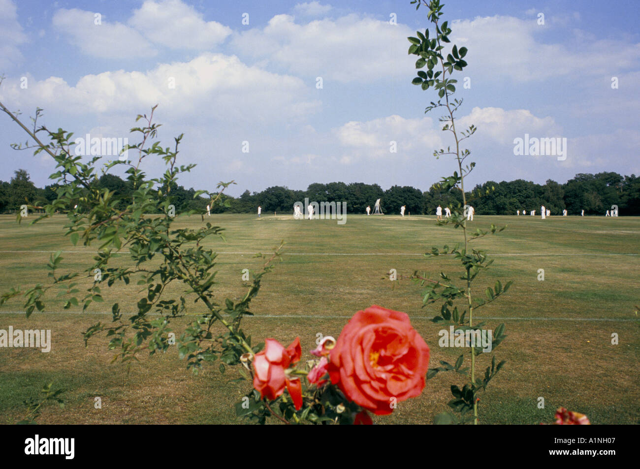 Week-end CRICKET AMATEUR Banque D'Images