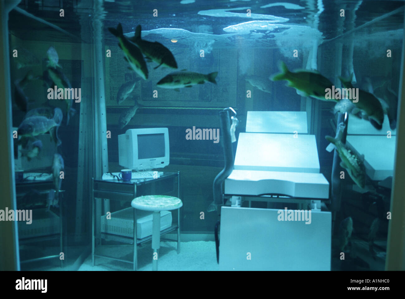 Saachi Gallery London,Damien Hirst Banque D'Images