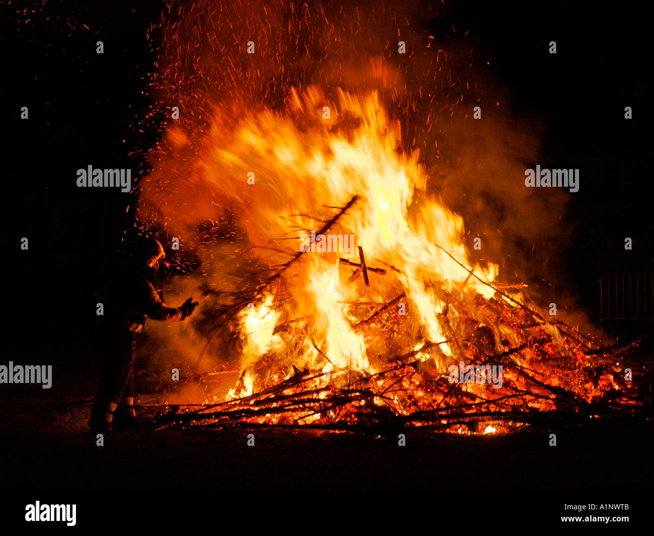 Fireman jetant une arborescence sur un grand feu de joie en brûlant de vieux arbres de Noël une coutume dans les Pays-Bas début janvier Banque D'Images