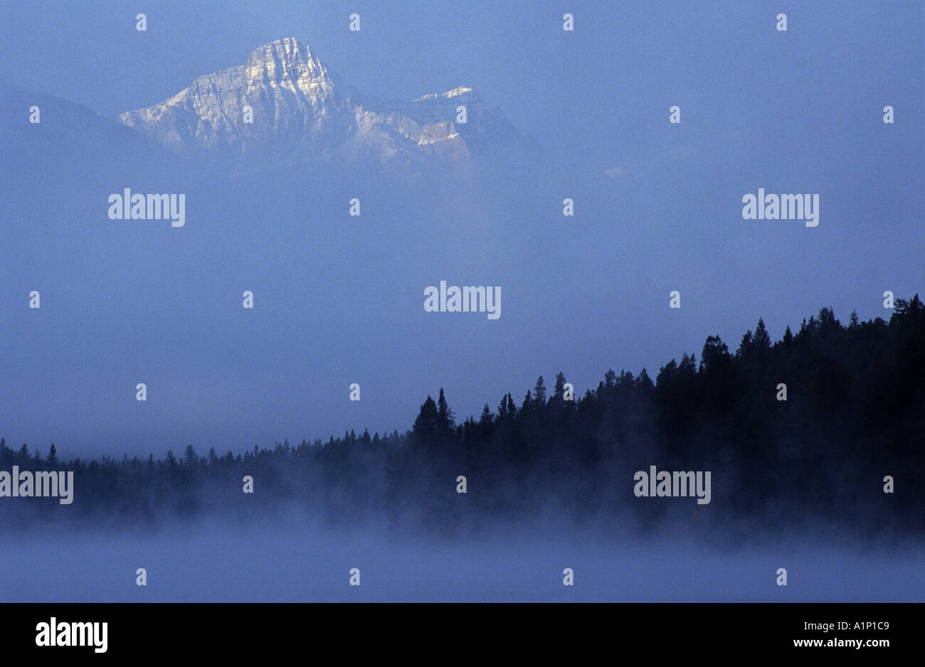 Matin de brume à Patricia Lake Parc national Jasper Canada Banque D'Images