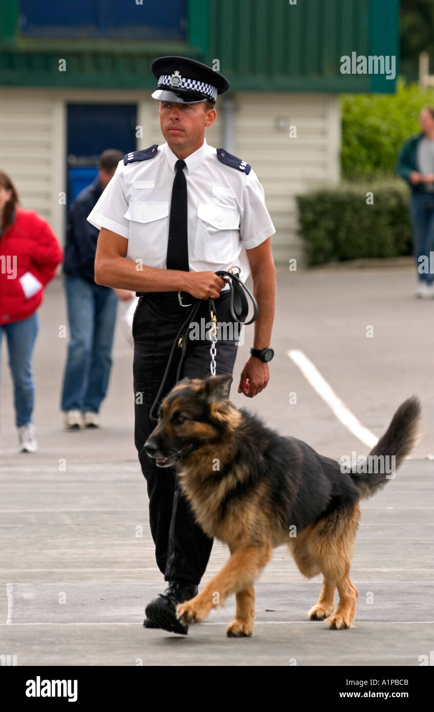 Gestionnaire de police chien avec la Grande-Bretagne UK Banque D'Images