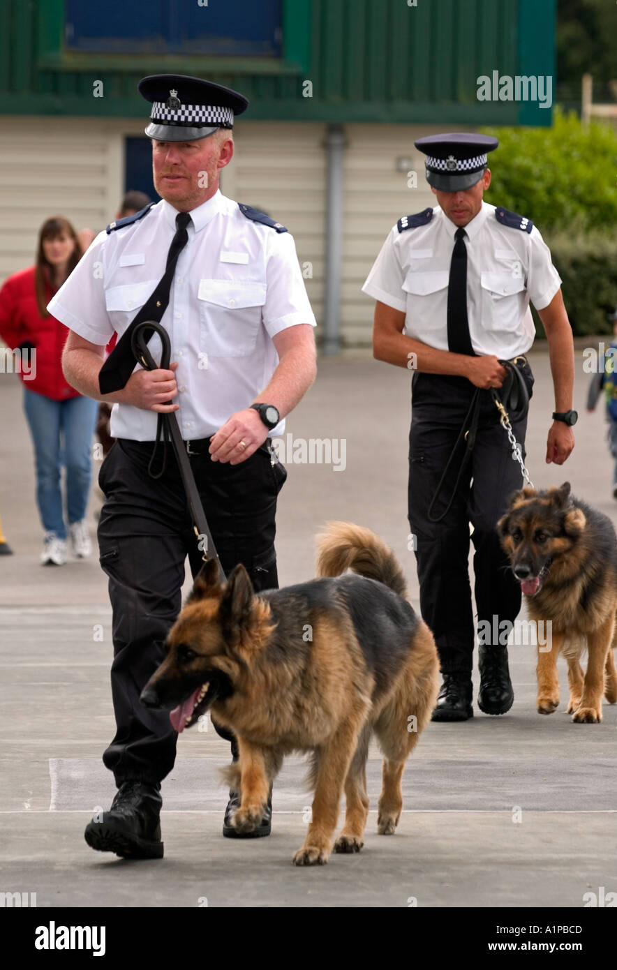 Les gestionnaires de la police avec des chiens Grande-bretagne UK Banque D'Images