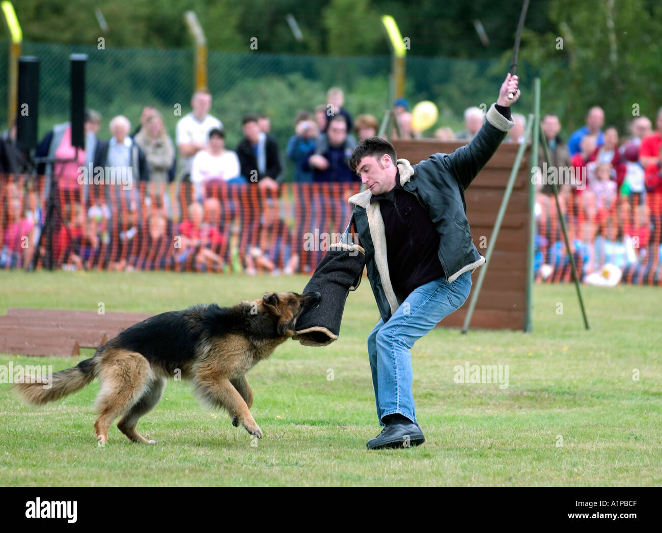 Gestionnaire de police et appréhender un chien méchant, lors d'une manifestation pour le public en Grande-Bretagne UK Banque D'Images