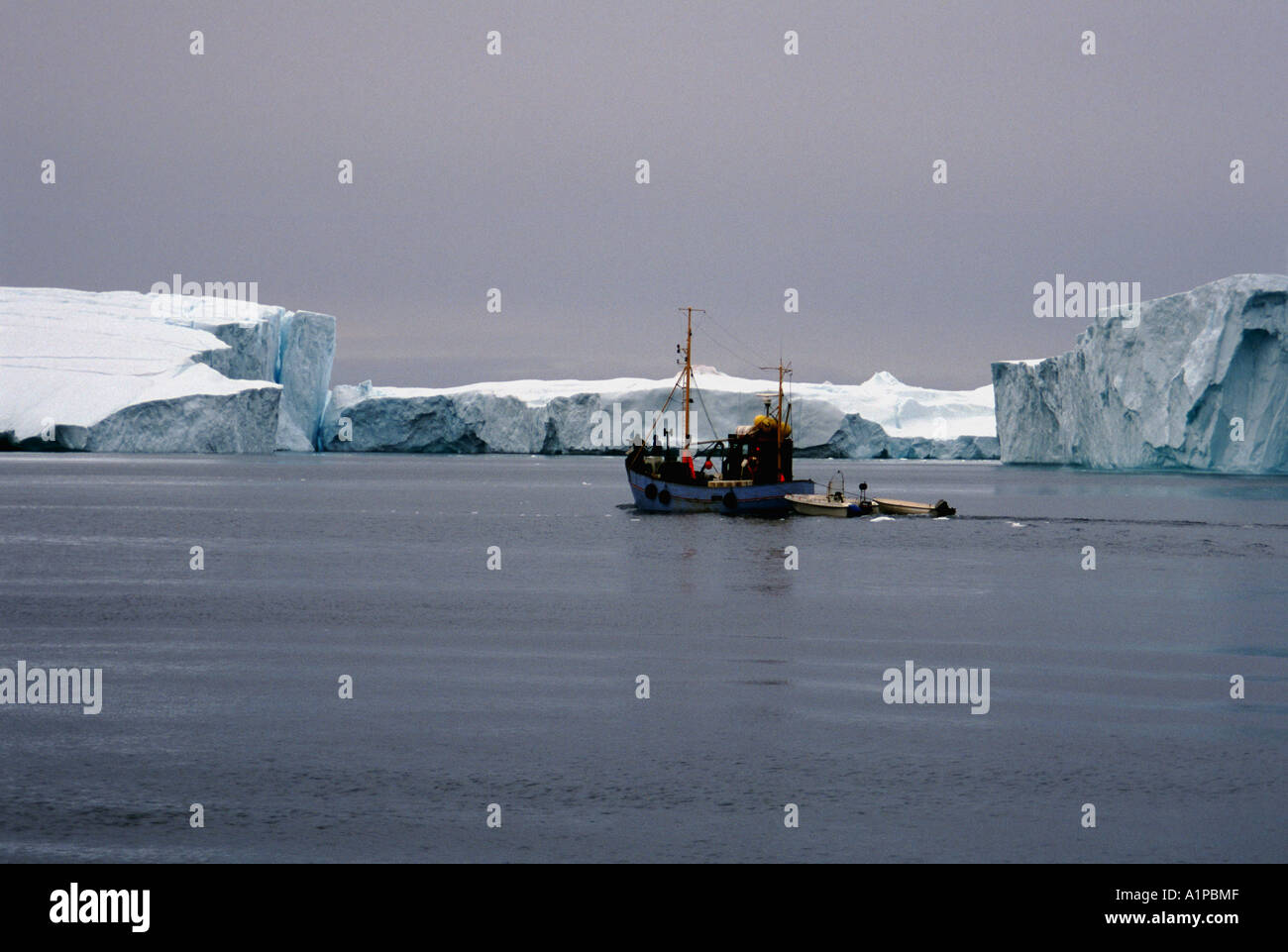 De retour à la maison à Ilulissat, Groenland. Banque D'Images