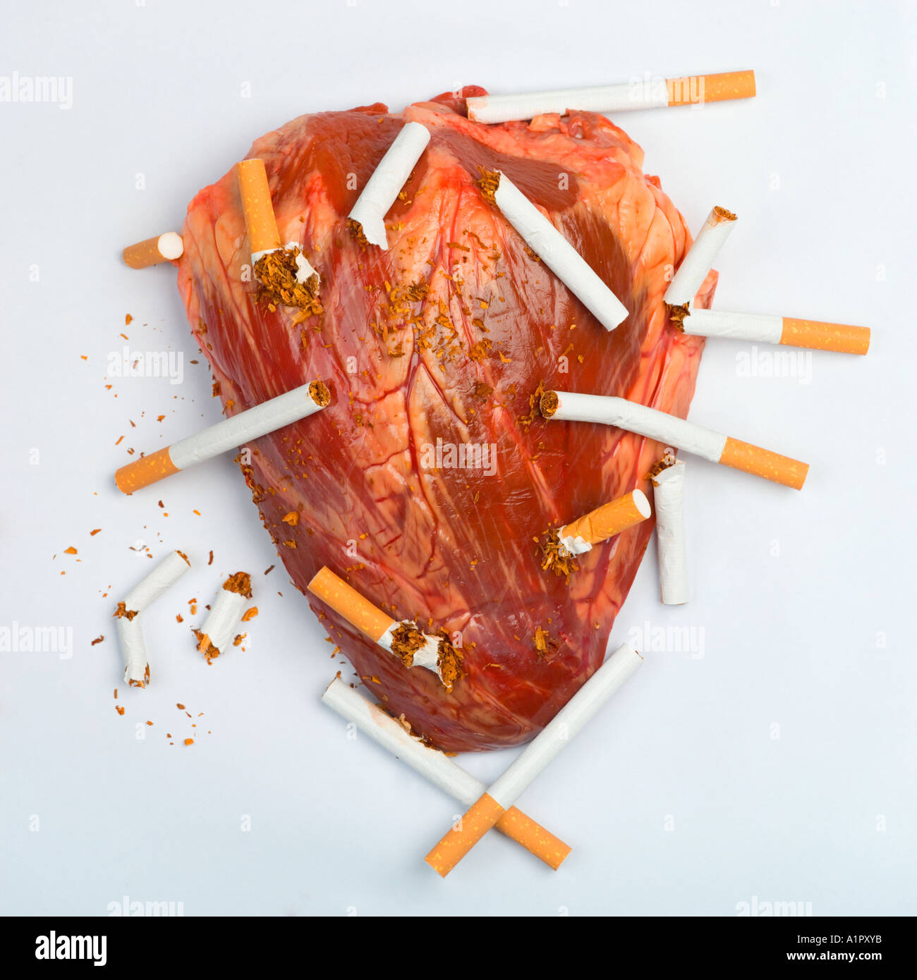 Un cur rouge entour par des cigarettes suggrant le tabagisme cause de  mauvaise sant et de problmes cardiaques Photo Stock - Alamy