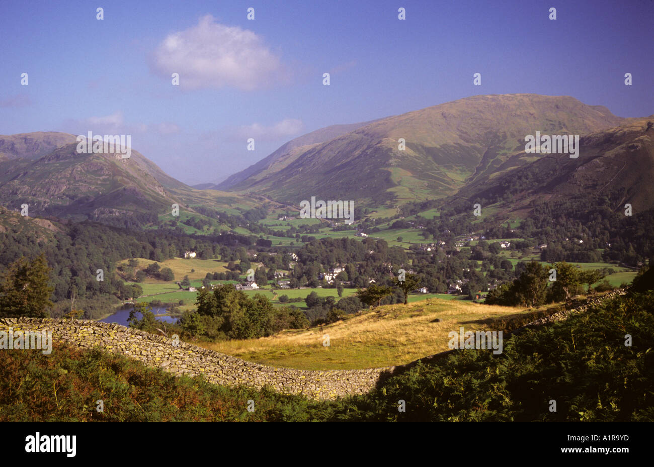 Vue de Red Bank Woods au village de Grasmere en été Cumbria Angleterre Royaume-Uni Grande-Bretagne Banque D'Images