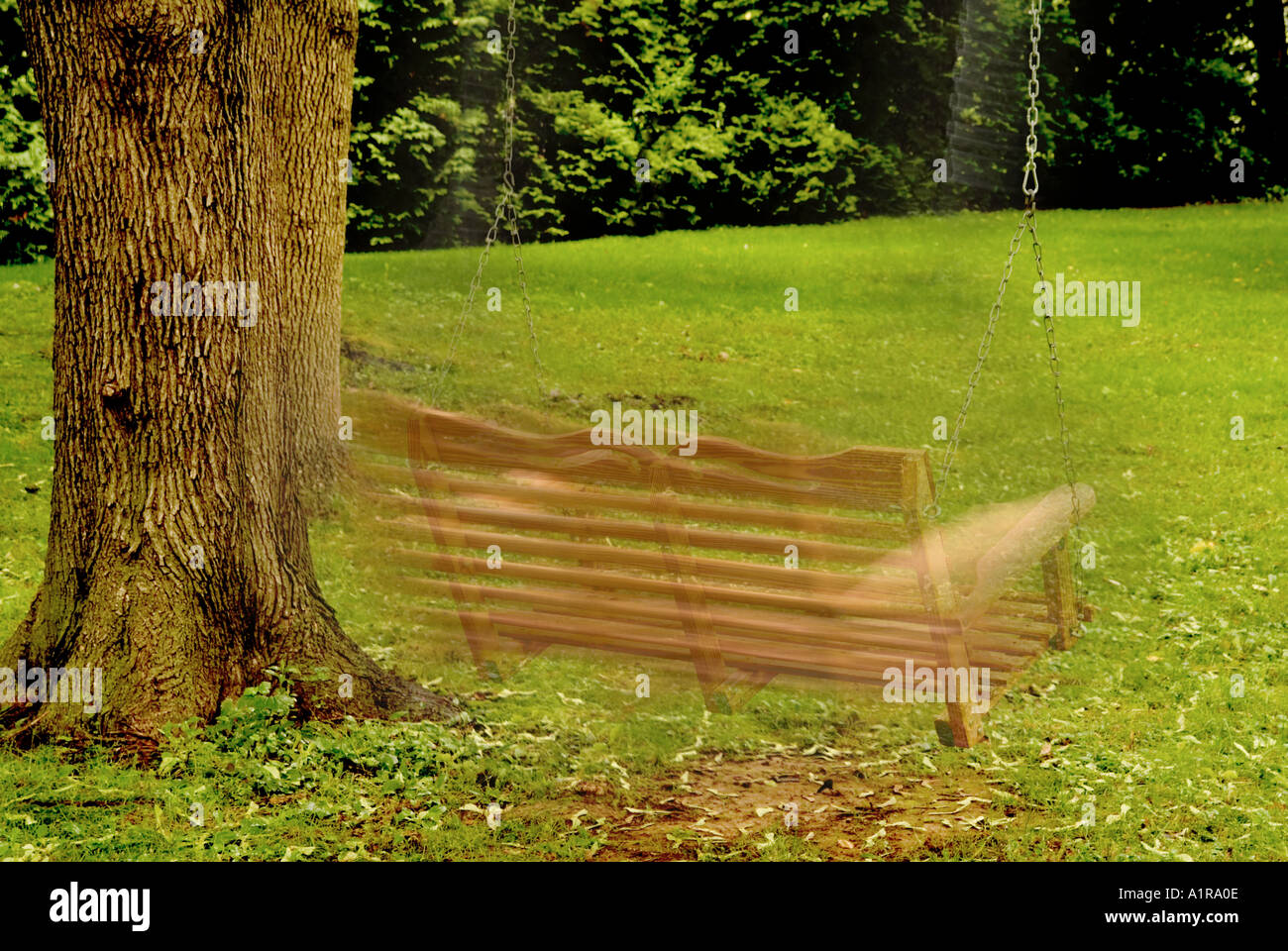 Cour arrière Swing, Motion Blur Banque D'Images