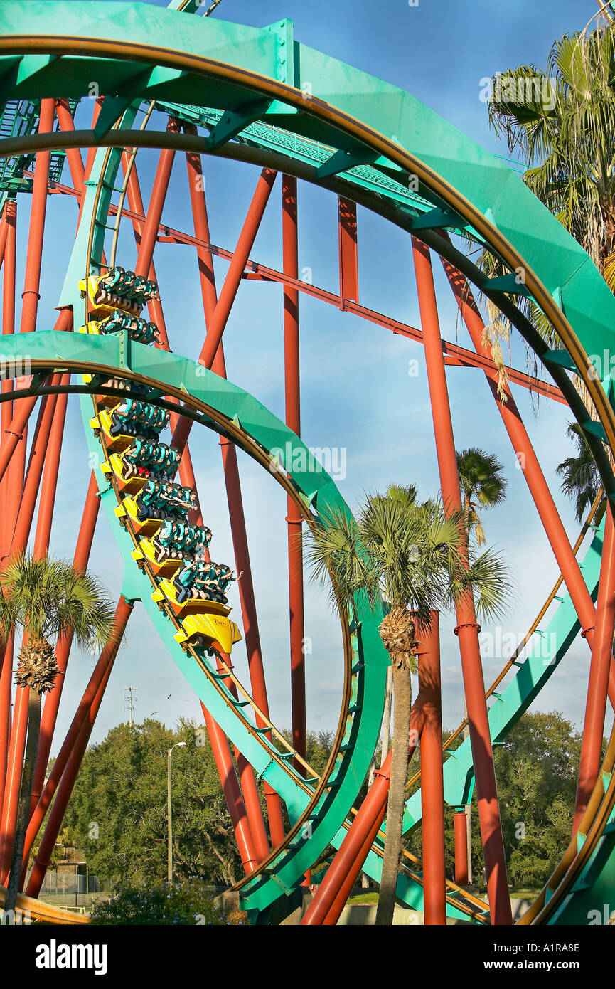 De looping vertical Kumba rollercoaster à Busch Garden Tampa Florida Banque D'Images