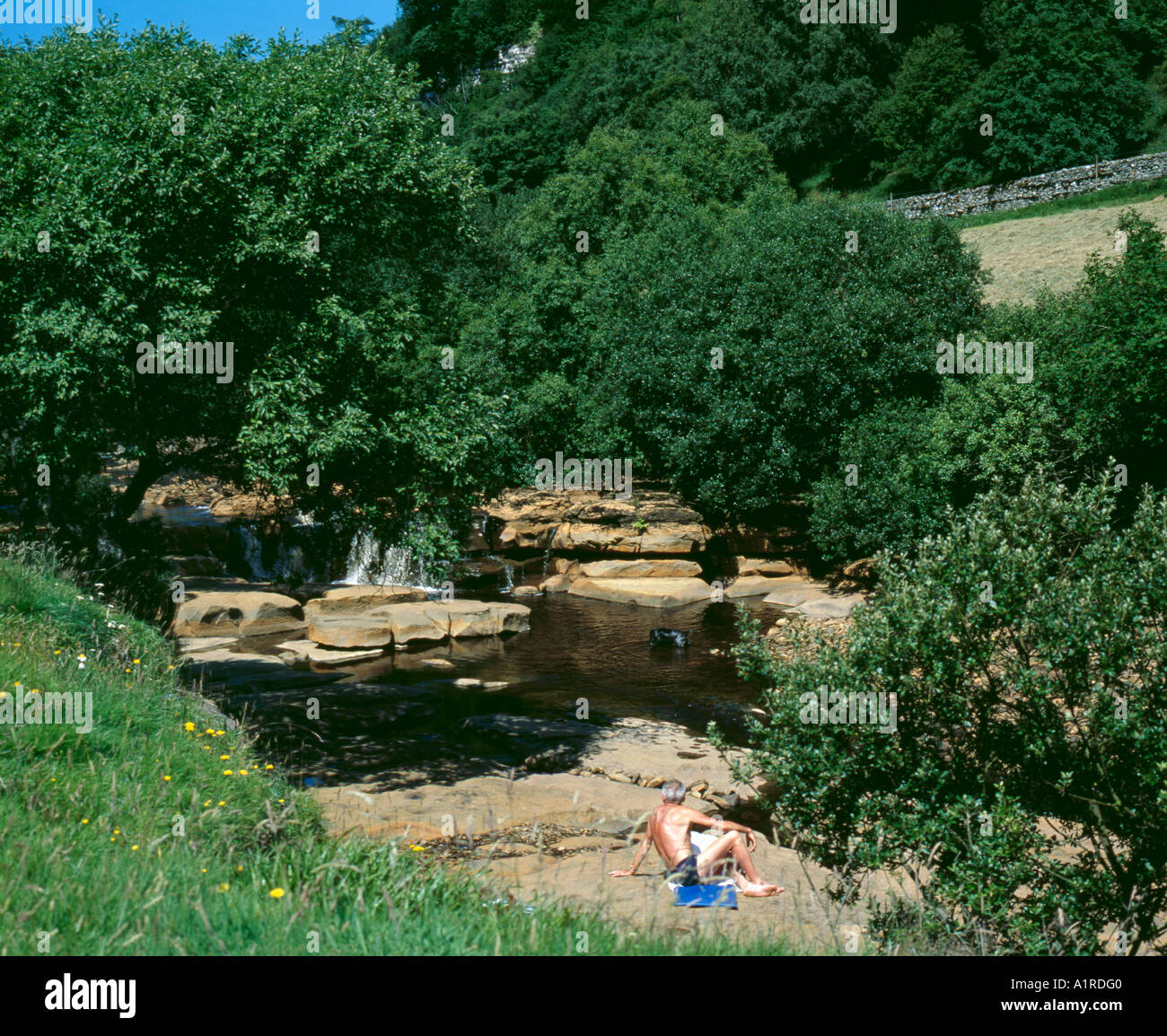 Le Wath Wain spéciale sur les pentes de la rivière, au-dessus de village de Keld, Upper Swaledale, North Yorkshire, Angleterre, Royaume-Uni. Banque D'Images