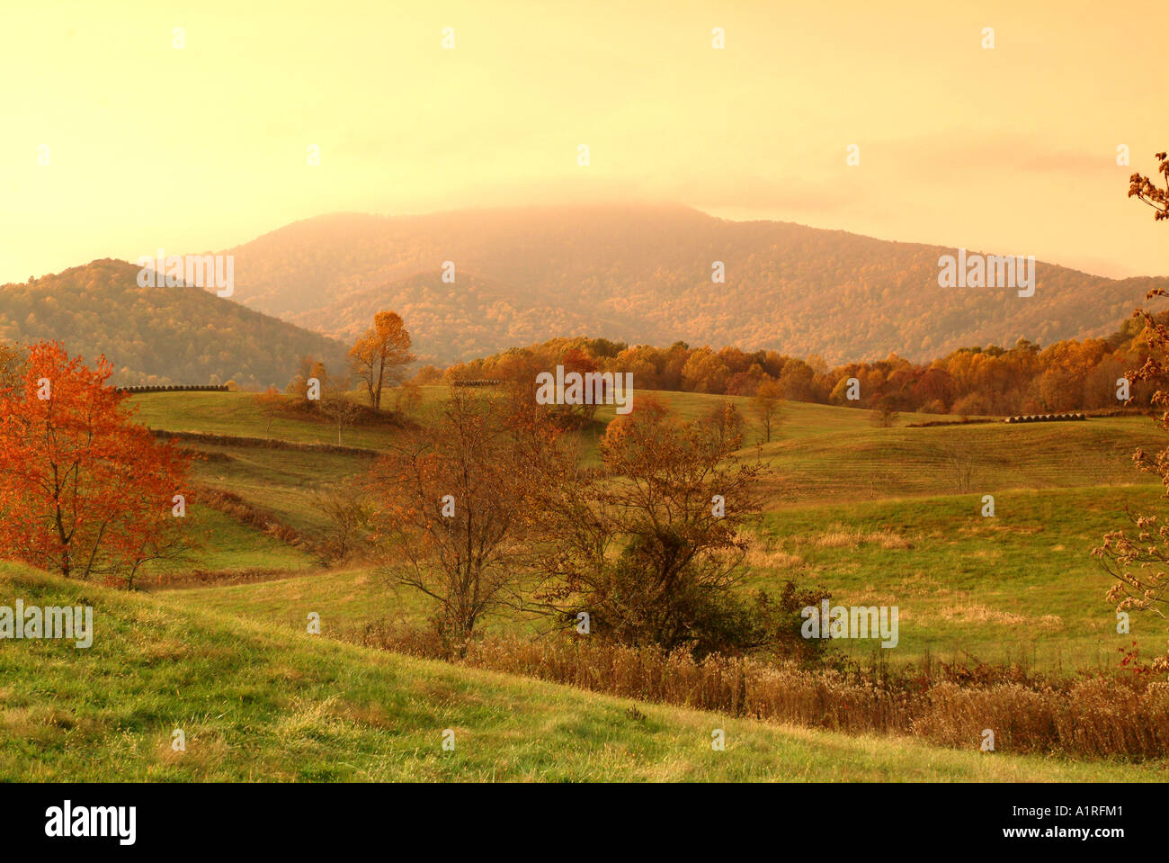 La fin de l'après-midi à travers les filtres de lumière les collines du Comté de Marshalltown début novembre Banque D'Images