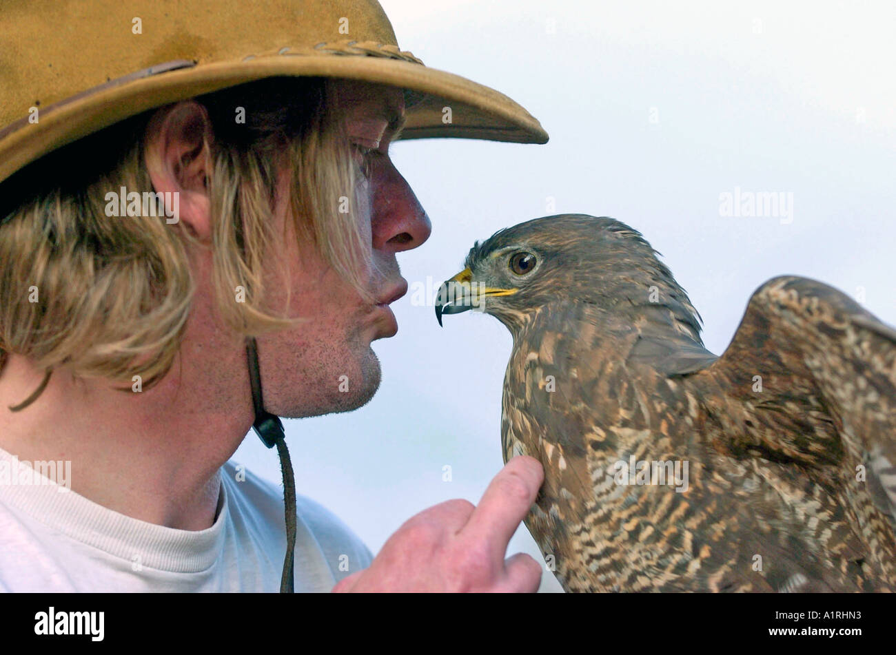 Iain Newby avec une buse secourue au centre de sauvetage des animaux nains à Southend Essex Banque D'Images