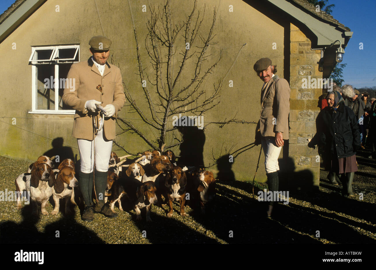 Chasse au lièvre les quatre Shires Basset Hounds se rencontrent à Church Farm Steeple Barton Oxfordshire Angleterre des années 1990 Royaume-Uni vers 1995 HOMER SYKES Banque D'Images