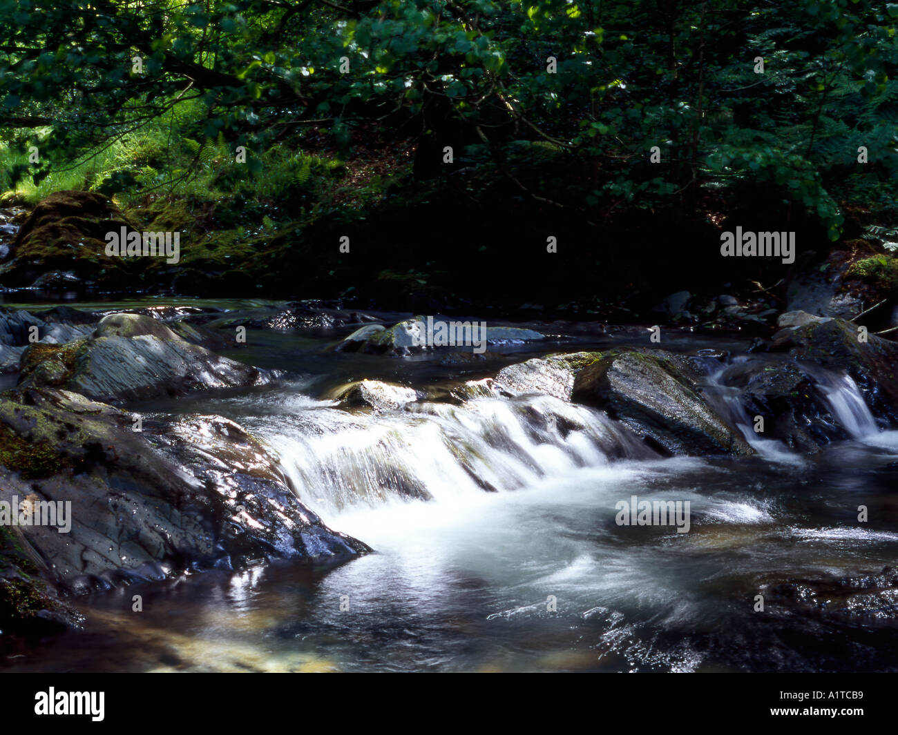 Cascade du Nant Gwernol Abergynolwyn ravin près de Gwynedd Banque D'Images