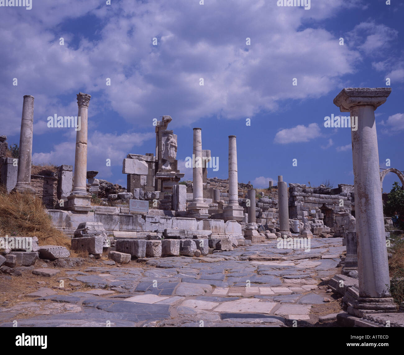 Route pavée bordée de belles colonnes de marbre qui traverse le centre de la ville d'Ephèse Turquie Banque D'Images