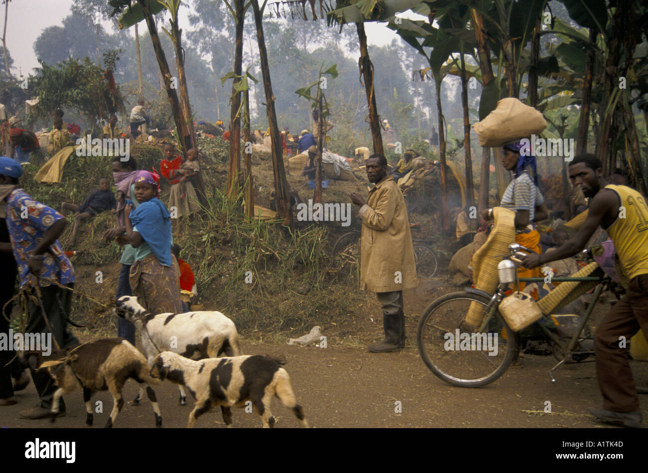GOMA ZAÏRE EXODE DU RWANDA CONTINUE ZAÏRE RWANDA BORDER JUILLET 1994.Les gens à pied retour au Rwanda avec leurs animaux Banque D'Images