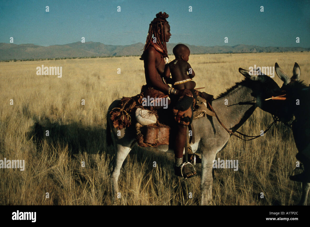 Femmes nomades Himba traditionnel en vêtements de cuir traversant la Marienfluss sur âne dans le nord de la Namibie Kaokoland Banque D'Images