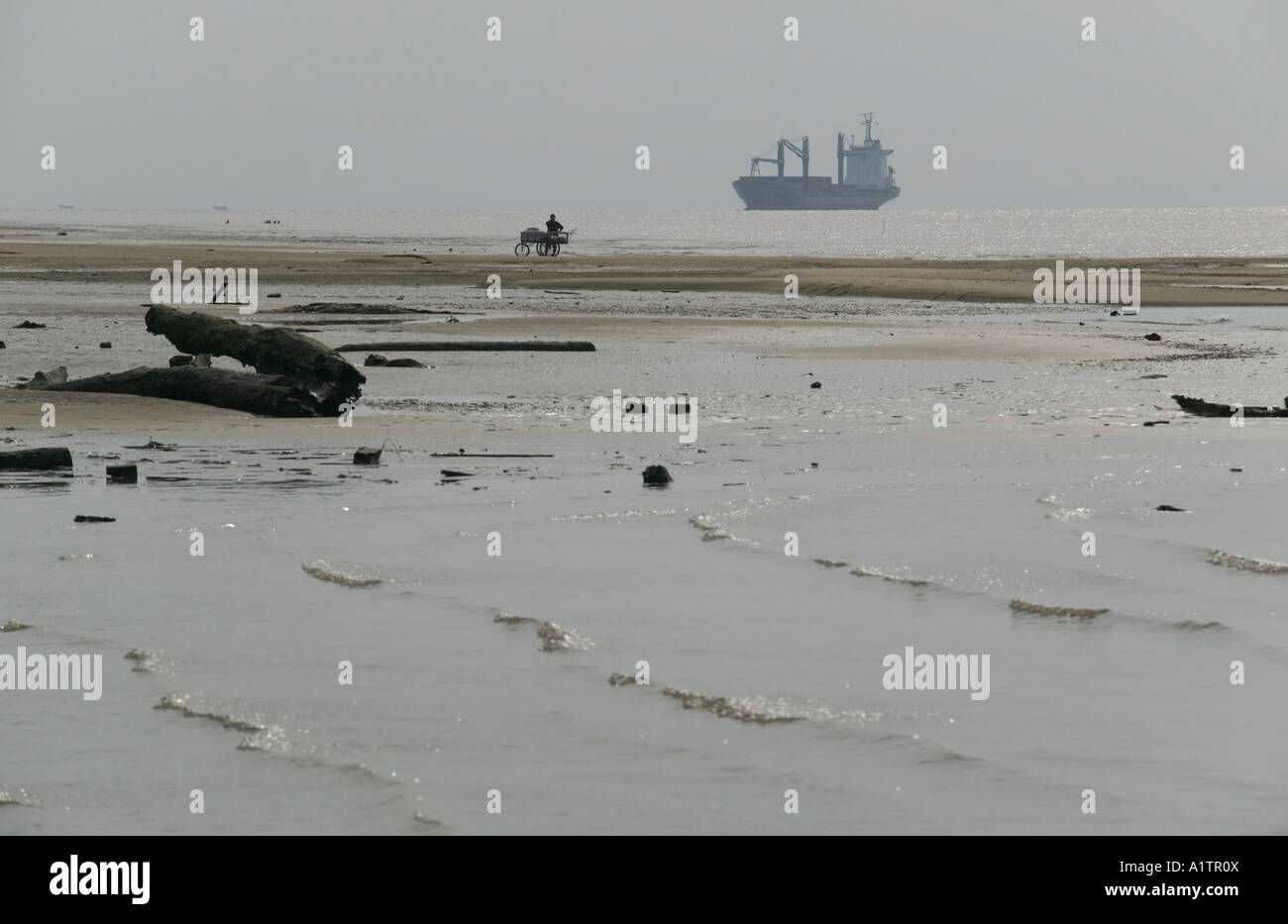 A marée basse sur le fleuve Amazon juste à l'intérieur de sa bouche à Fazendinha nr Macapa etat Amapa au Brésil Banque D'Images