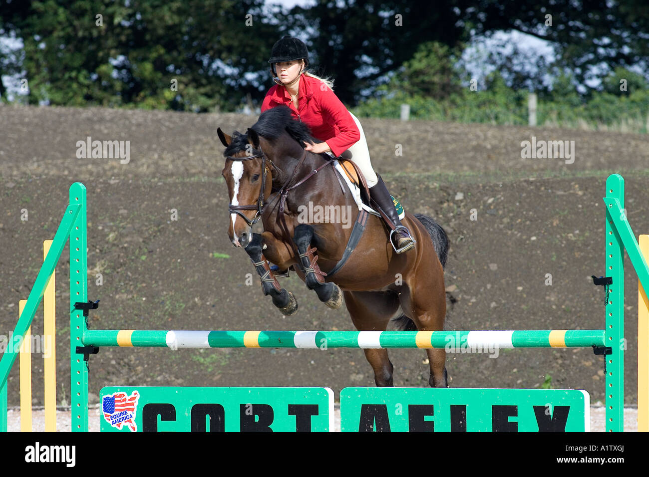 Saut d'Ellen Whitaker showjumper et équestre rider Banque D'Images