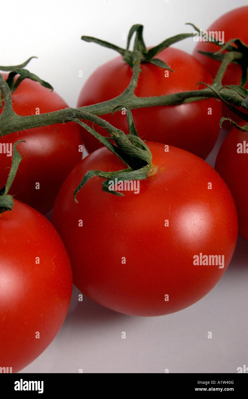 Des tomates mûres sur la vigne Banque D'Images