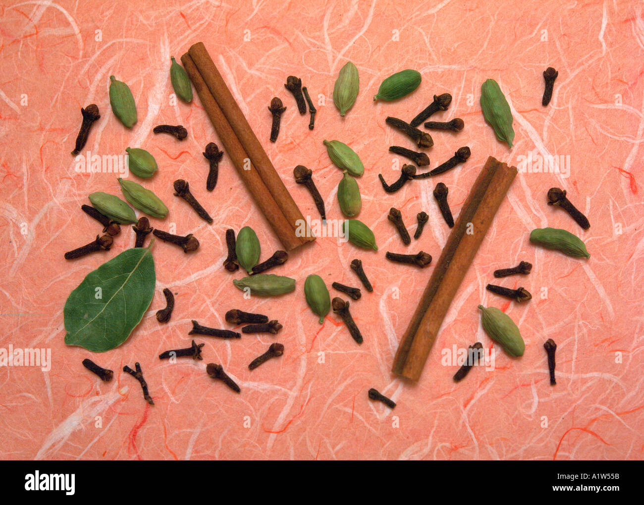 Ensemble de Garam Masala Banque D'Images