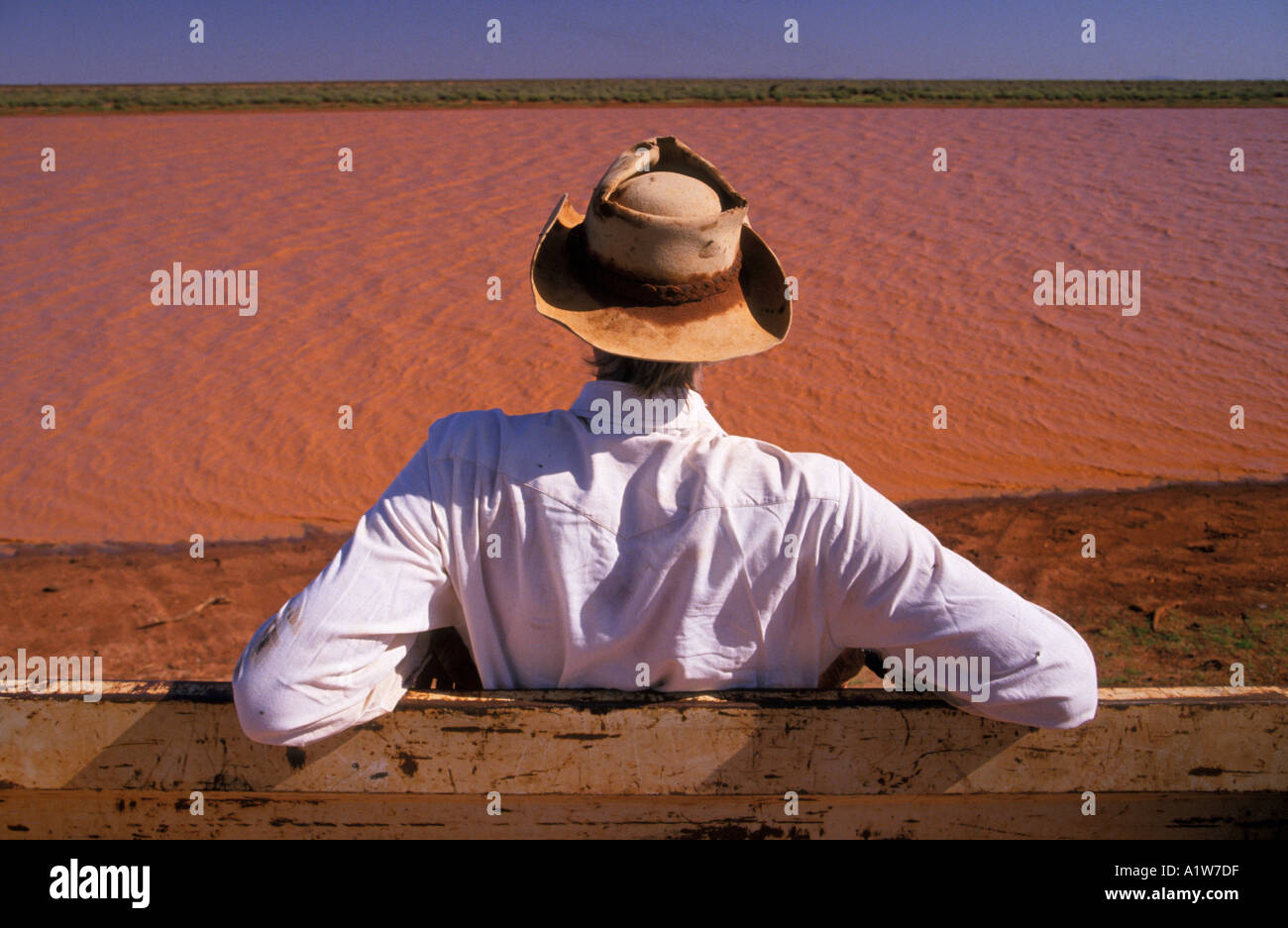 Éleveur de bétail au waterhole, Fortescue River, Roy Hill Station, Pilbara, Australie occidentale, horizontal, Banque D'Images
