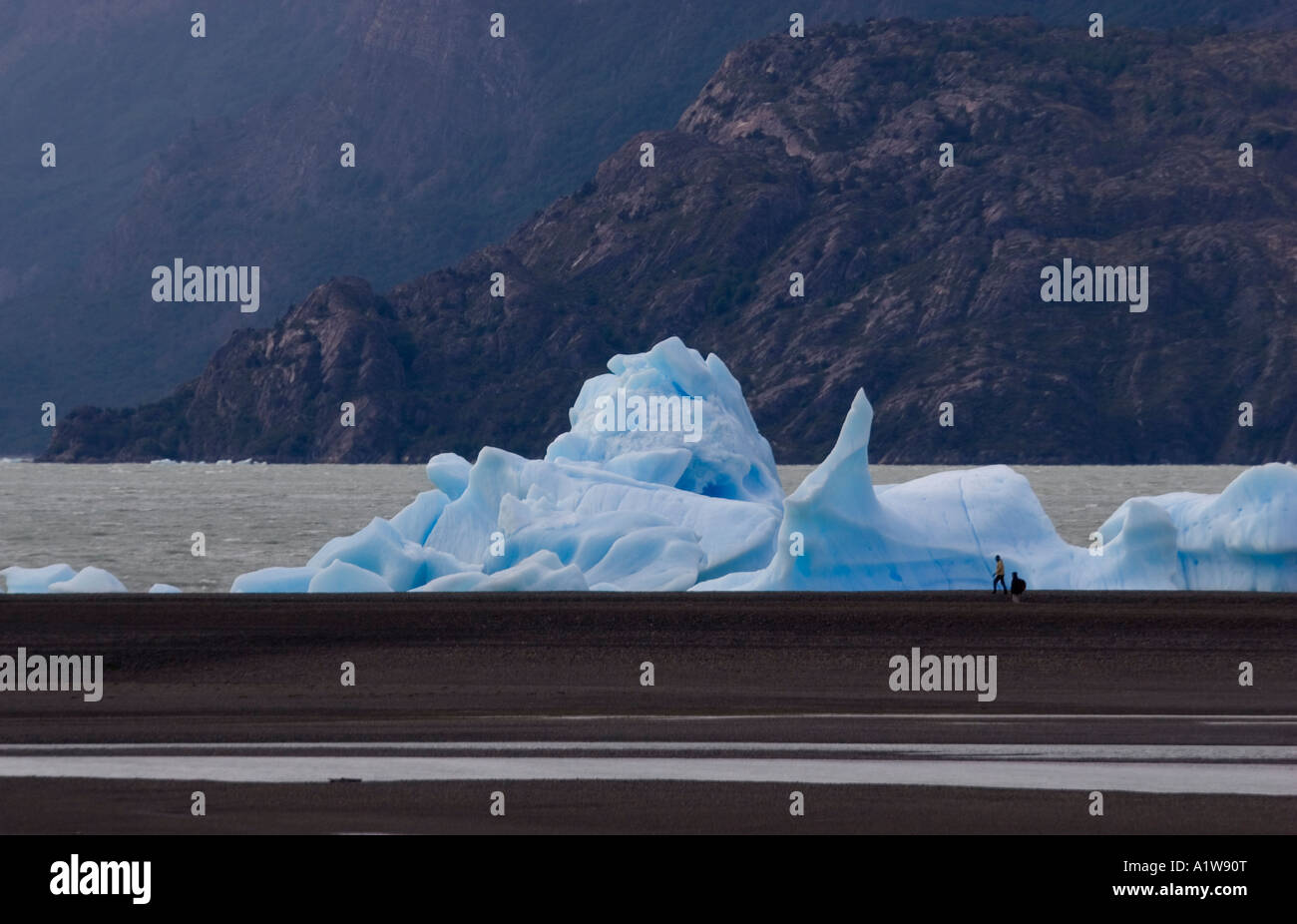 Les icebergs vêlé du Glacier Grey qui flottent sur Lake Gray et devenir, échoués sur le Parc National Torres del Paine, Chili Banque D'Images