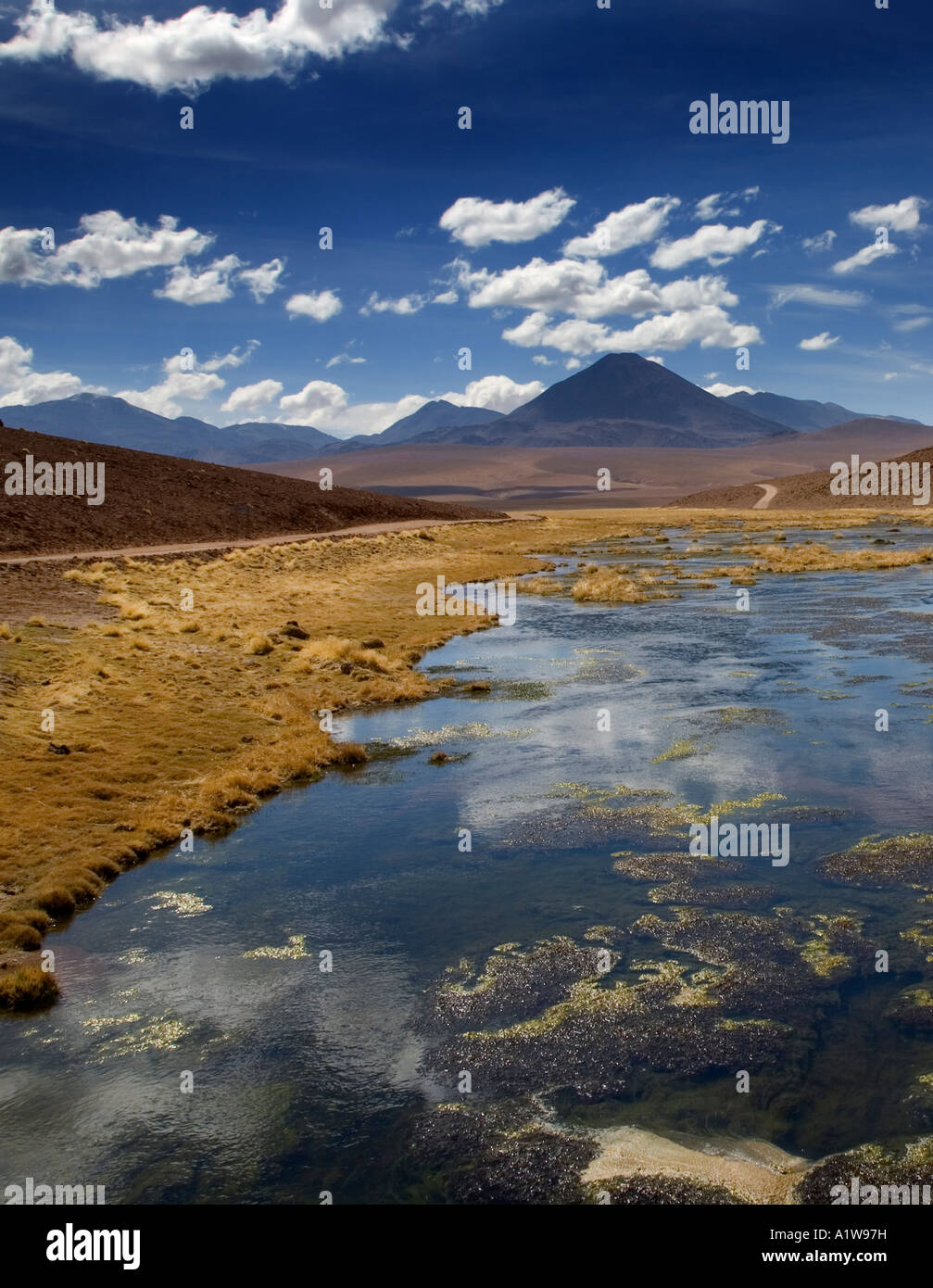 Vega de Putana et Volcano Colorados, Désert d'Atacama, Chili Banque D'Images