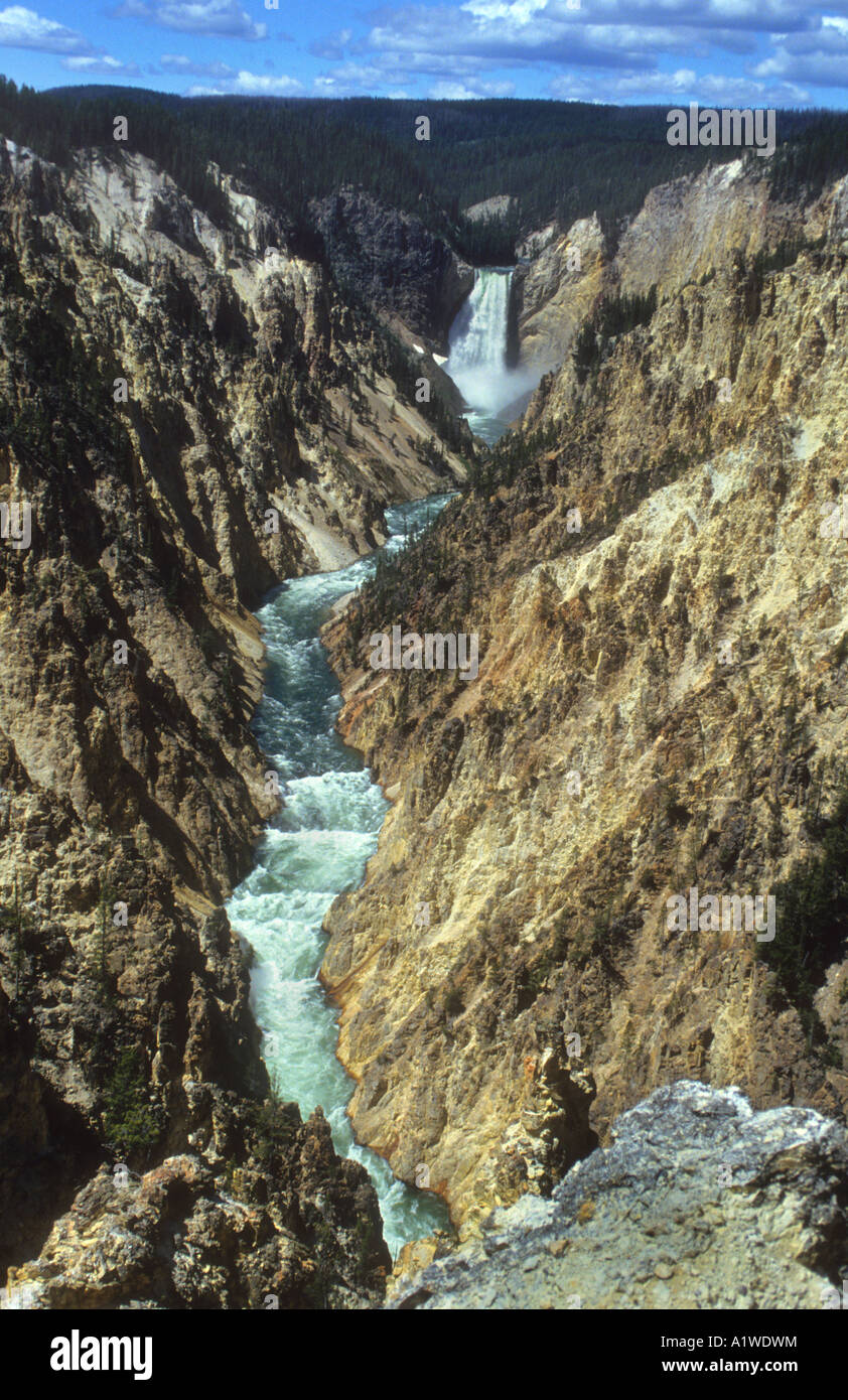 Lower Falls dans le Parc National de Yellowstone, Wyoming, USA. Banque D'Images