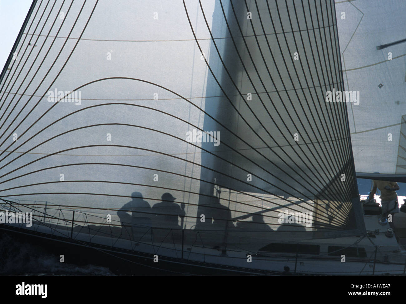 Course de voile dans la baie de Fundy, Nouveau-Brunswick Canada Banque D'Images