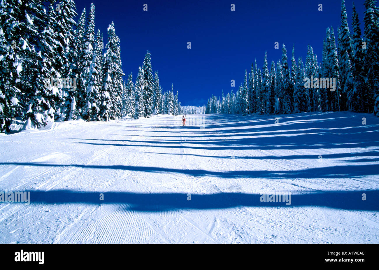 Skieur solitaire sur une large piste ouverte dans la montagne rouge, Canada Banque D'Images