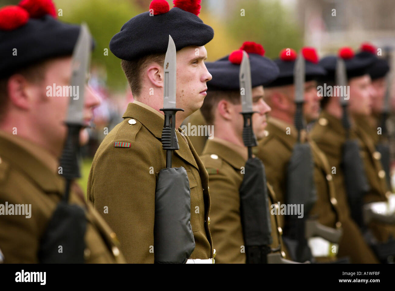 Une ligne de soldats écossais l'article pour afficher en rouge uniforme et hackle gun Banque D'Images