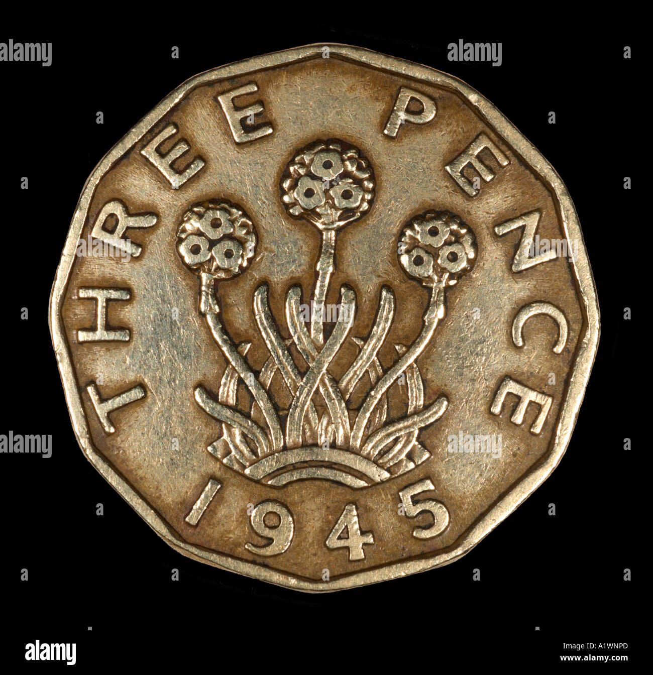 Le roi George VI Reg fid def 3 thrupence pré virgule trois pence penny vieille P 1945 usine de cuivre fleur lumineuse thrift gauche omn rex Banque D'Images