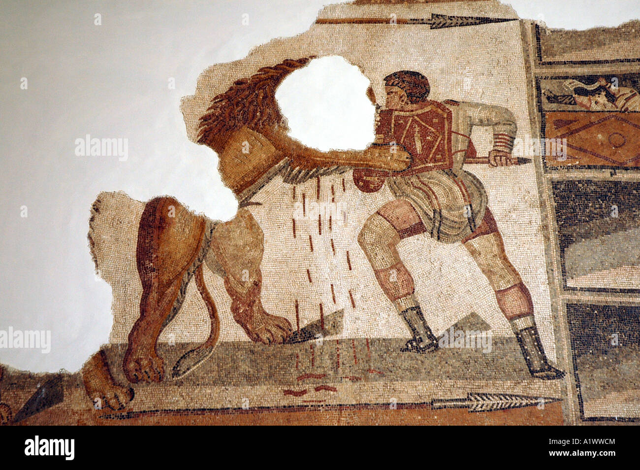 Mosaïque romaine dans le musée du Bardo à Tunis, capitale de la Tunisie. Les combats de gladiateurs avec lion. Banque D'Images