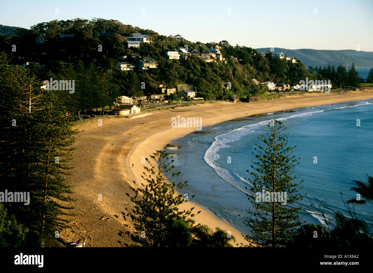 Palm beach sur les plages du nord de Sydney le matin Banque D'Images