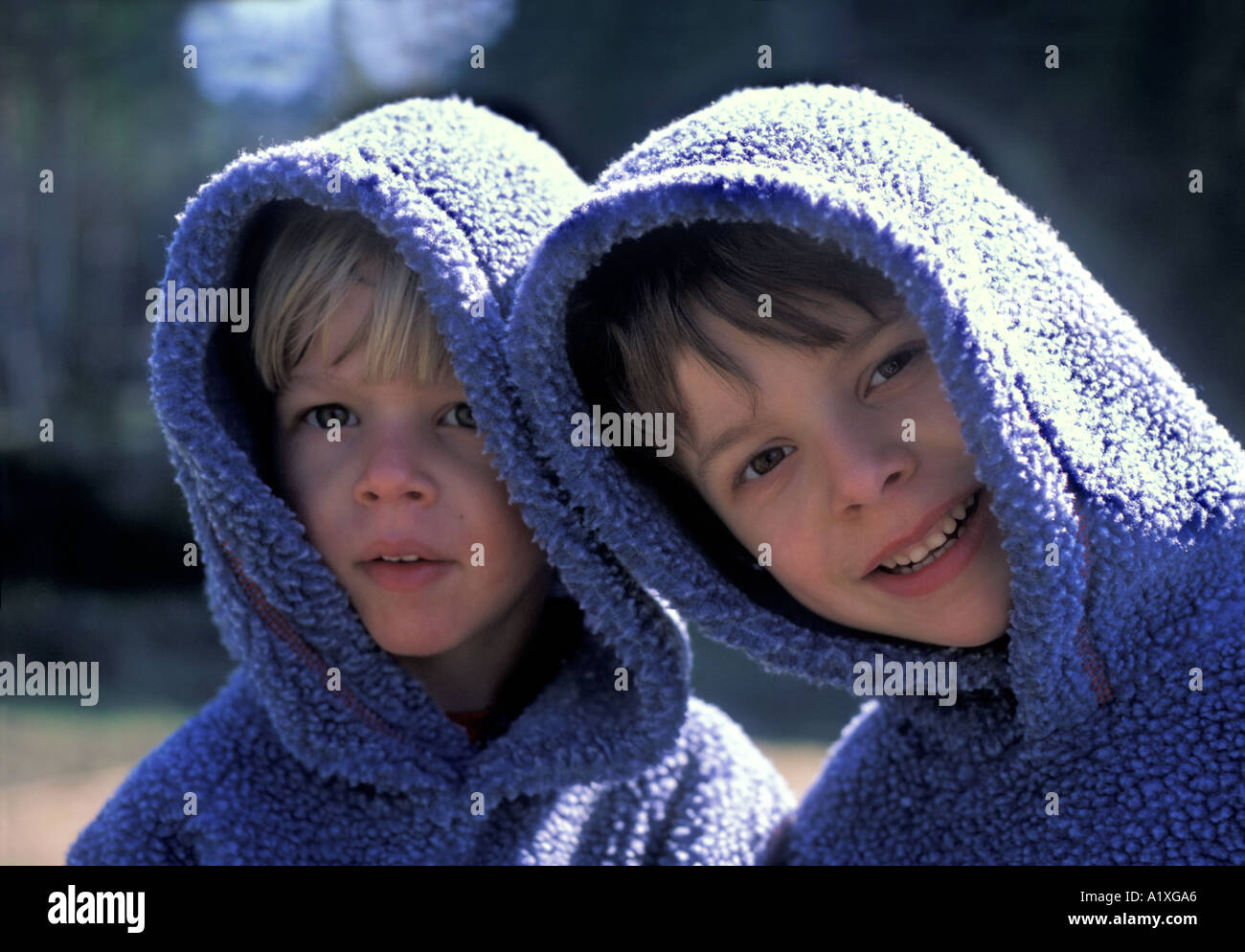 DEUX FRÈRES Banque D'Images