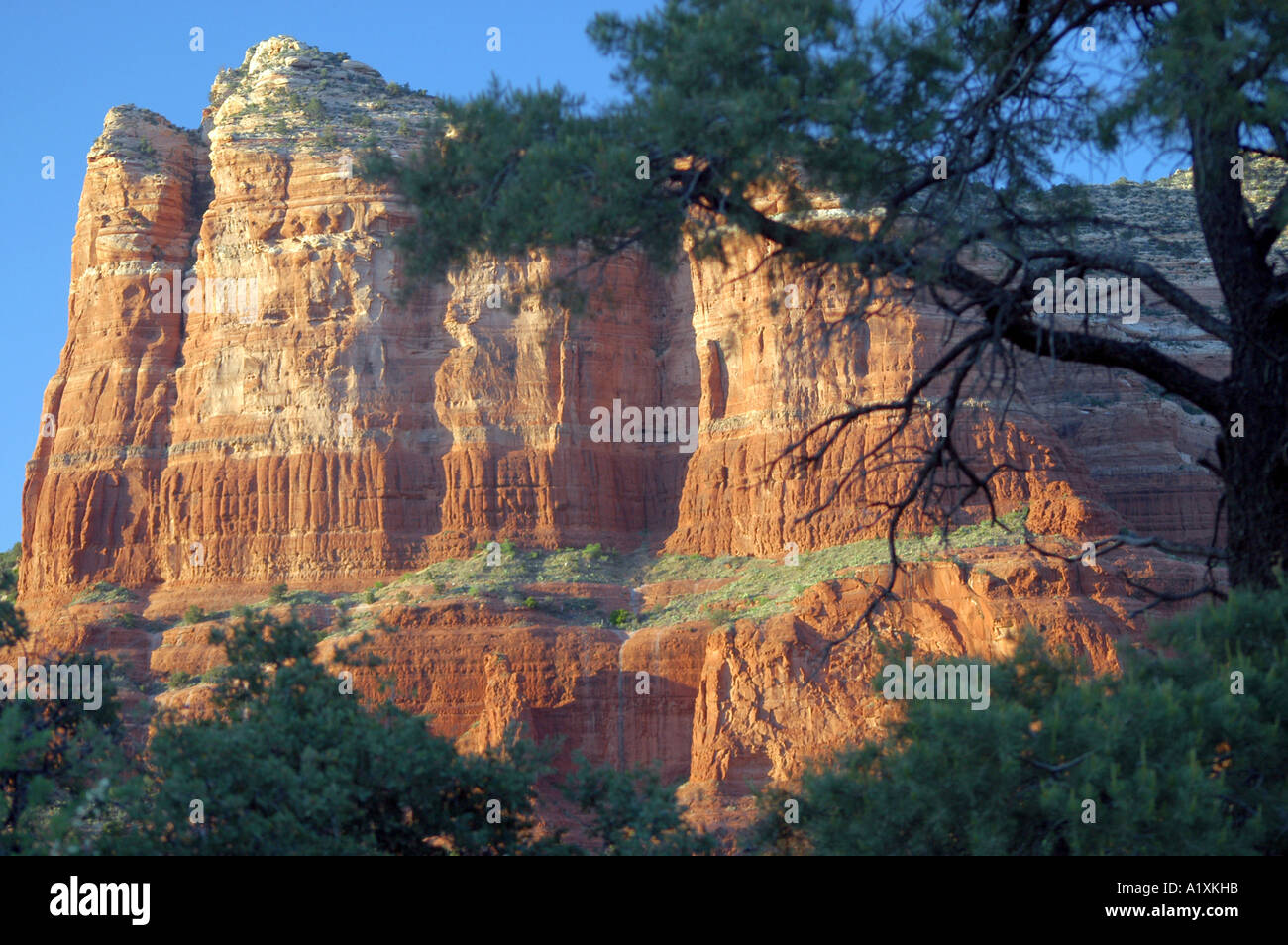 Red Rock Country à Sedona dans l'Arizona high desert USA Banque D'Images