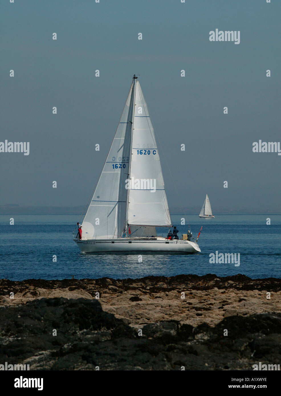 Yachts à voile dans l'Estuaire de Forth, North Berwick, Ecosse, UK G B, Europe, Banque D'Images