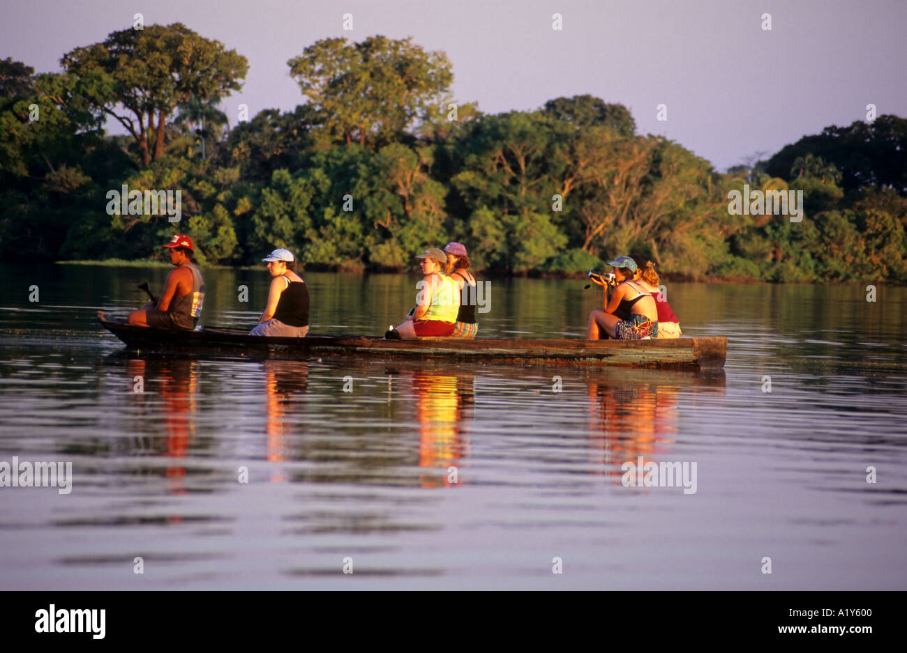 Regarder les dauphins roses d'Amazonie, Brésil Banque D'Images