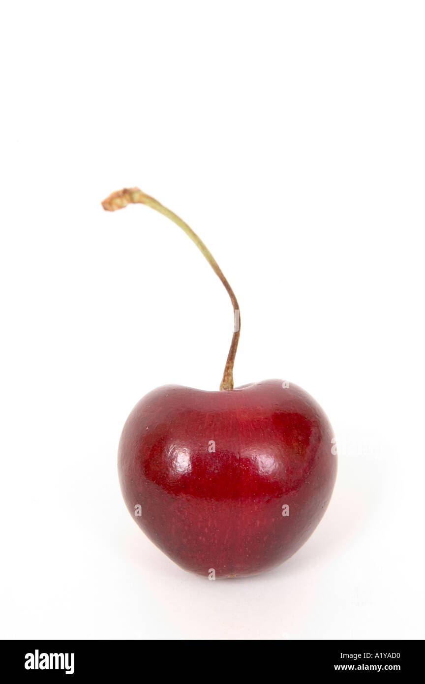 Cerise En Anglais Cerises fruits frais à partir de l'anglais anglais frais champs champs produisent des gouttelettes d'eau arbres succulents pays singulier Photo Stock - Alamy
