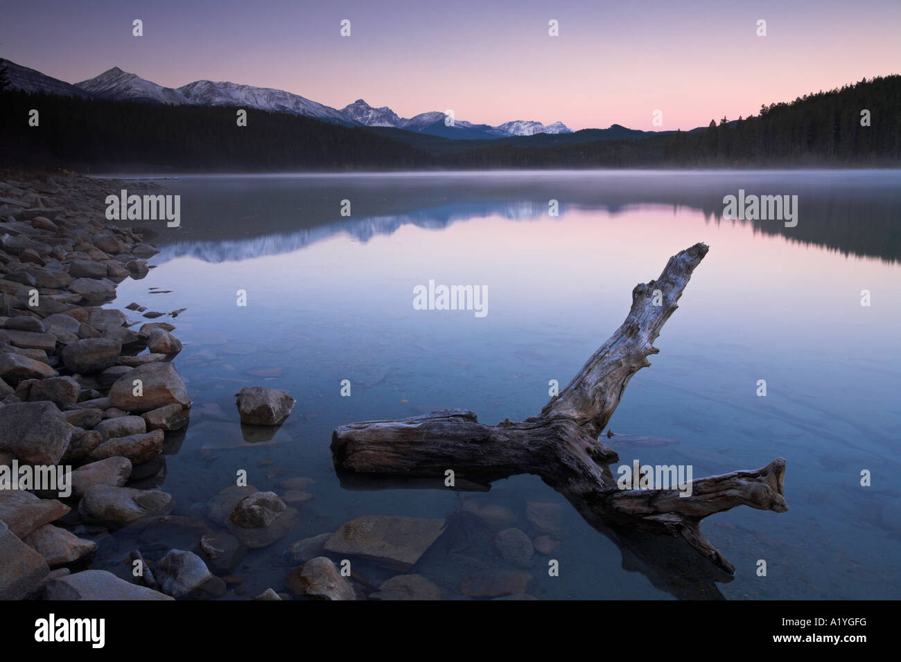 Frosty matin froid à Patricia Lake, du Parc National de Jasper, Canada Banque D'Images